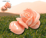goods_0059.jpg