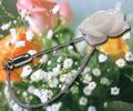goods_0072.jpg