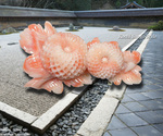 goods_0095.jpg