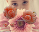 goods_0105.jpg