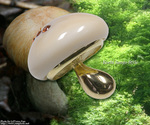 goods_0111.jpg
