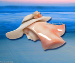 goods_0133.jpg