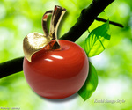 goods_0163.jpg