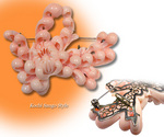 goods_0165.jpg