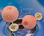 goods_0174.jpg