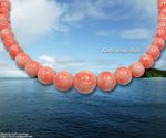 goods_0195.jpg