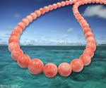 goods_0197.jpg