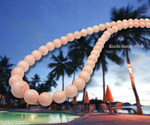 goods_0198.jpg