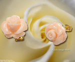goods_0215.jpg