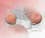 goods_0217.jpg