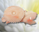 goods_0231.jpg