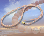 goods_0307.jpg