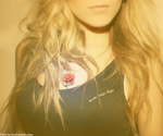 goods_0310_1.jpg