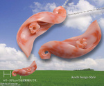 goods_0313.jpg