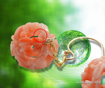 goods_0341_1.jpg