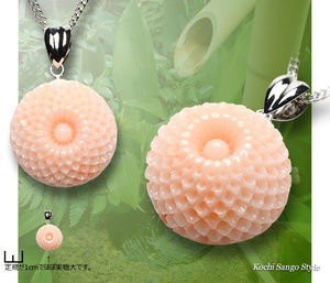 goods_0474.jpg