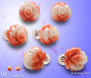 goods_0537.jpg