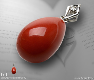 goods_0832.jpg