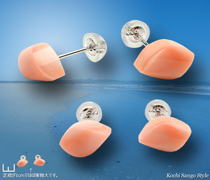 goods_0901.jpg