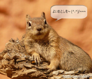 oshirase_039.jpg